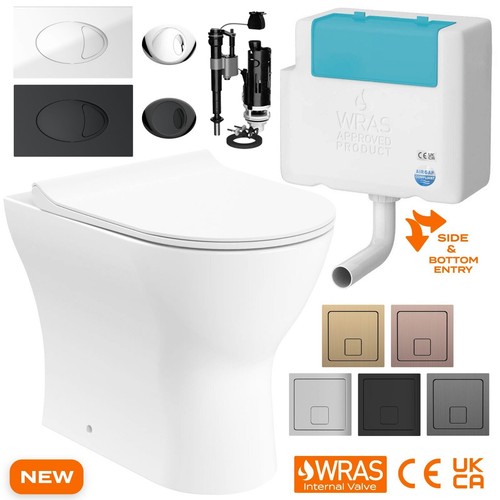 Back wall toilet rimless - back, to